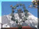 banner Engle.jpg (66467 Byte)